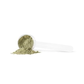Progressive VegeGreens, Vegan Greens Supplement Powder - Blueberry Medley Flavour, 500 g | Made from Herbs, Plants and Vegetables