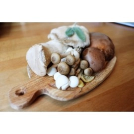 Malt Extract Agar (MEA) 56.7 grams - Great For Cultivating Mushrooms