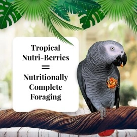 Lafeber Tropical Fruit Nutri-Berries Pet Bird Food, Made with Non-GMO and Human-Grade Ingredients, for Parrots, 10 oz