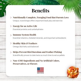 Lafeber Tropical Fruit Nutri-Berries Pet Bird Food, Made with Non-GMO and Human-Grade Ingredients, for Parrots, 10 oz