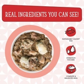 Weruva Cats in The Kitchen, Two Tu Tango with Sardine, Tuna & Turkey Au Jus Cat Food, 3.2oz Can (Pack of 24)