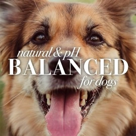 Burt\'s Bees for Pets Ear Cleaner for Dogs with Pepeprmint and Witch Hazel, 99.7% Natural Origin Formulas, Dog Ear Cleaner, Ear Cleaning Solution for Dogs, 4 oz