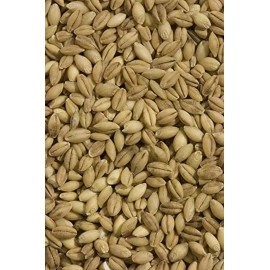 Shiloh Farms - Organic Hulless Barley - 15 oz.