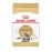 Royal Canin Maine Coon Breed Adult Dry Cat Food, 6 lb bag