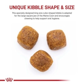 Royal Canin Maine Coon Breed Adult Dry Cat Food, 6 lb bag