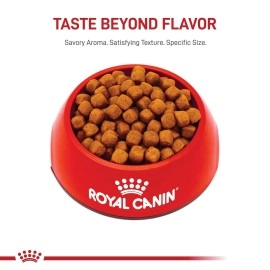 Royal Canin Maine Coon Breed Adult Dry Cat Food, 6 lb bag