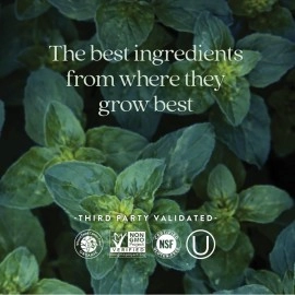 New Chapter Men\'s Multivitamin, Every Man\'s One Daily 40+, Fermented with Probiotics + Saw Palmetto + B Vitamins + Vitamin D3 + Organic Non-GMO Ingredients - 96 ct (Packaging May Vary)