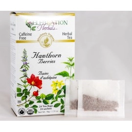Celebration Herbals Hawthorn Berries Tea Organic 24 BAG