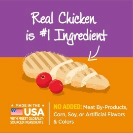 Wellness Pet - Grain Free Kittles Cat Treats Salmon & Cranberries Recipe 2 Oz. 173121