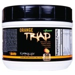 Controlled Labs Orange Triad, 0.9 Pound