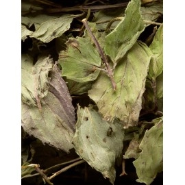 DAMMANN FRERES Menthe Poivree Tea, 24 Cristal Teabags