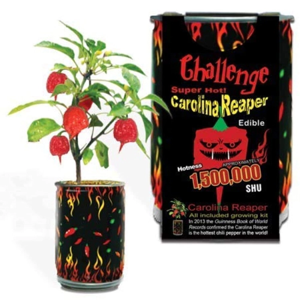 Challenge Super Hot Carolina Reaper Plant Kit
