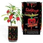 Challenge Super Hot Carolina Reaper Plant Kit