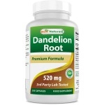 Best Naturals Dandelion Root 520 mg 250 Capsules