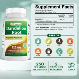 Best Naturals Dandelion Root 520 mg 250 Capsules