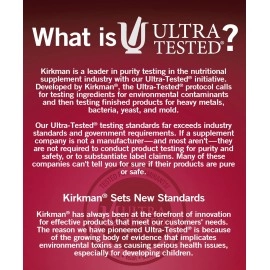 Kirkman Zinc Liquid New Formulation 16 Oz Flavored With Natural Raspberry Free Of Common Allergens 16 Ounce