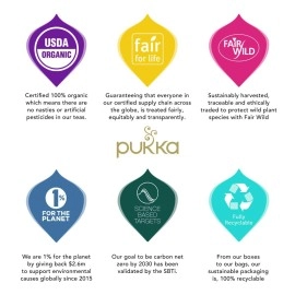 Pukka Organic Tea Bags, Three Mint Herbal Tea, Perfect for Cooling Refresh, 20 Count (Pack of 6) 120 Tea Bags