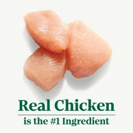 NUTRO WHOLESOME ESSENTIALS Adult Indoor Natural Dry Cat Food for Healthy Weight Farm-Raised Chicken & Brown Rice Recipe, 3 lb. Bag