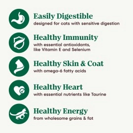 NUTRO WHOLESOME ESSENTIALS Adult Indoor Natural Dry Cat Food for Healthy Weight Farm-Raised Chicken & Brown Rice Recipe, 3 lb. Bag