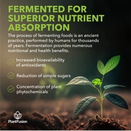 Sotru Organic Fermented Alkalizing Greens, 240 g