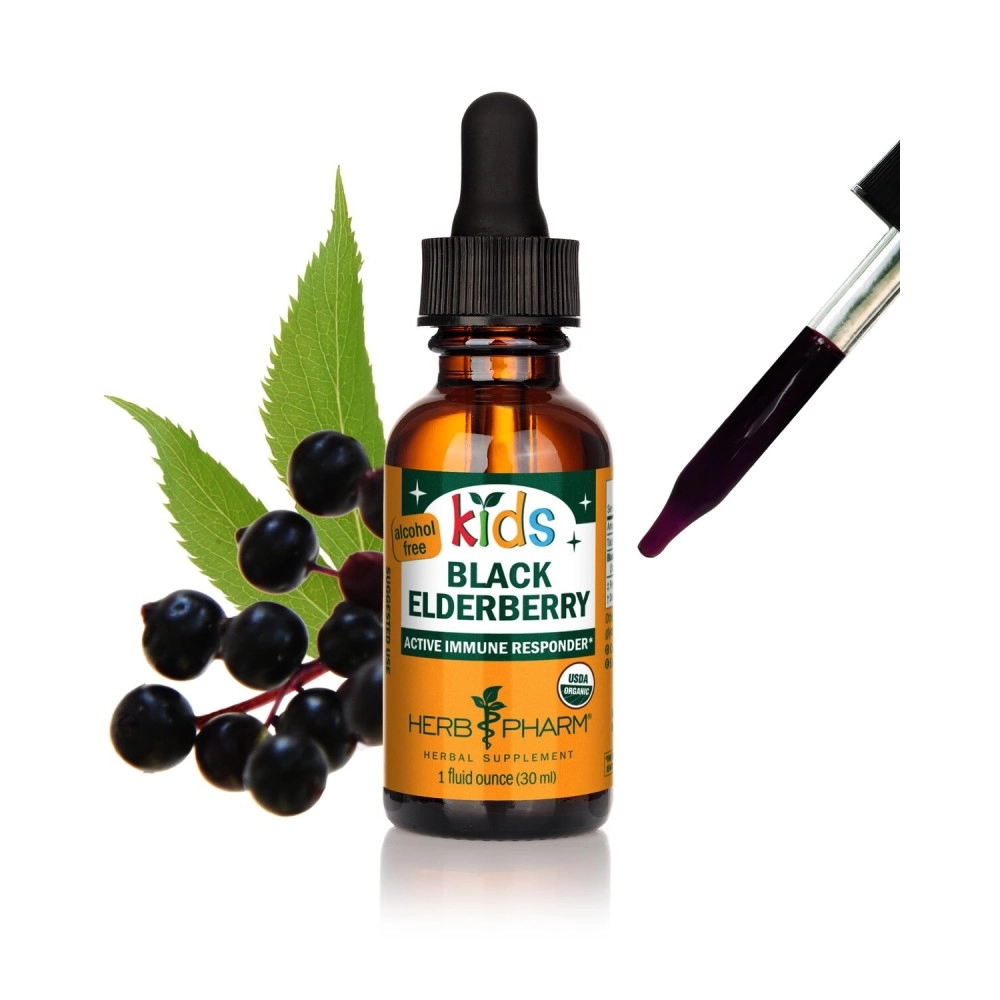 Herb Pharm Kids Certified-Organic Alcohol-Free Black Elderberry Glycerite Liquid Extract, 1 Ounce (GLKELD01)
