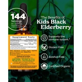 Herb Pharm Kids Certified-Organic Alcohol-Free Black Elderberry Glycerite Liquid Extract, 1 Ounce (GLKELD01)