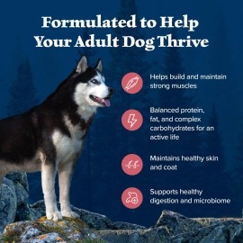 Blue Buffalo Wilderness High Protein, Natural Adult Dry Dog Food, Salmon 4.5-lb