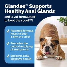 Glandex Gland Soft Chew Treats with Pumpkin for Dogs Chews with Digestive Enzymes, Probiotics Fiber Supplement for Dogs - Vet Recommended - Boot The Scoot - by Vetnique Labs (Peanut Butter, 60ct)