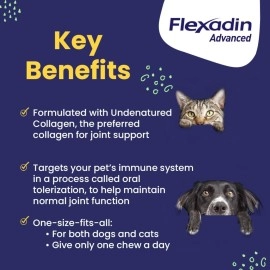 Vetoquinol Flexadin Advanced Dog Hip and Joint Supplement with UC-II Collagen, One Chew a Day Hip and Joint Support Chew for Dogs and Cats, Clinically Proven Vet-Approved Formula, 60 Chews