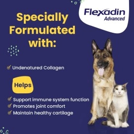 Vetoquinol Flexadin Advanced Dog Hip and Joint Supplement with UC-II Collagen, One Chew a Day Hip and Joint Support Chew for Dogs and Cats, Clinically Proven Vet-Approved Formula, 60 Chews