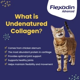 Vetoquinol Flexadin Advanced Dog Hip and Joint Supplement with UC-II Collagen, One Chew a Day Hip and Joint Support Chew for Dogs and Cats, Clinically Proven Vet-Approved Formula, 60 Chews