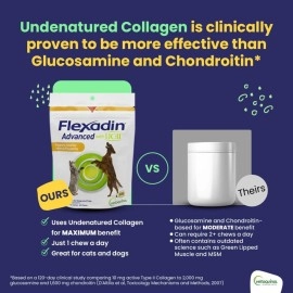 Vetoquinol Flexadin Advanced Dog Hip and Joint Supplement with UC-II Collagen, One Chew a Day Hip and Joint Support Chew for Dogs and Cats, Clinically Proven Vet-Approved Formula, 60 Chews