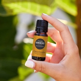Edens Garden Frankincense (Boswellia frereana) 100% Pure Therapeutic Grade Essential Oil - 10 ml