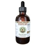 Hawaii Pharm Huang Qin Alcohol-Free Liquid Extract, Huang Qin, Scutellaria (Scutellaria Baicalensis) Root Glycerite Natural Herbal Supplement 2 oz