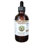 Hawaii Pharm Goldenrod Alcohol-Free Liquid Extract, Organic Goldenrod (Solidago virgaurea L.) Dried Herb Glycerite 2 oz