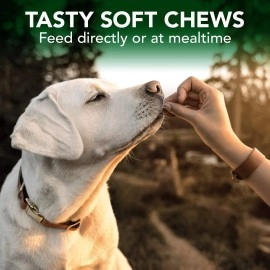 Vet\'s Best Seasonal Allergy Soft Chews (1 x 30 ct)