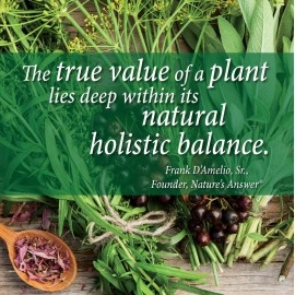 Nature\'s Answer Plant Based Cal-Mag 500/250 mg Vegetarian Capsules, 120\'s