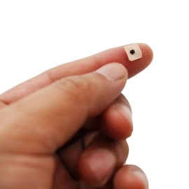 Dragon Acupuncture Ear Seeds - Pack of 600 Counts Refill