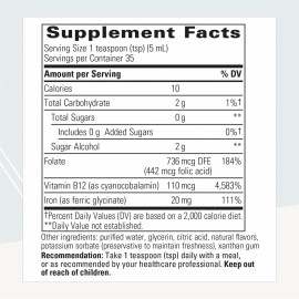 Integrative Therapeutics Liquid Iron - Energy Support Supplement* - with Vitamin B12 & Folate - Liquid Supplement for Convenience - Gluten & Dairy-Free - Apple Cinnamon Flavored, 6 fl oz (35 Servings)
