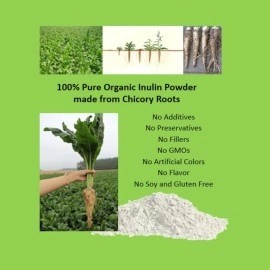 Jetsu Inulin Powder Organic Chicory Root (FOS) - Soluble Inulin Fiber Prebiotic Intestinal Support, Enhances Calcium Absorption, Stimulates Friendly Bacteria, Promotes Prebiotic Growth, 8oz