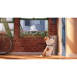 Universal Pictures The Secret Life of Pets-DVD