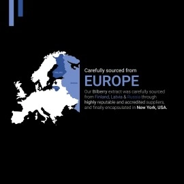 SYMNUTRITION Bilberry Extract 1000mg, 25% Anthocyanins 50mg - 120 Count (V-Capsules) / 120 Servings; European Blueberry: Manufactured in a cGMP-Registered Facility in USA; Vegan & Gluten Free