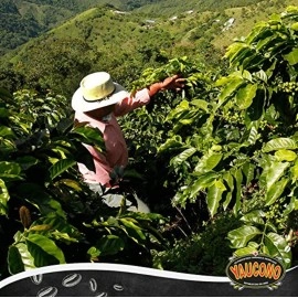 Yaucono Ground Coffee Bagged, 8 Ounce (Pack of 1)