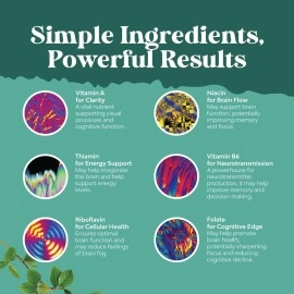 Enhance Brain Memory + Boost Focus + Improve Clarity Mind Booster Supplement For Men And Women - Contains Pure St John Wort + Potent Ginkgo Biloba - Natural Cognitive brain Nutrition By Bio Sense