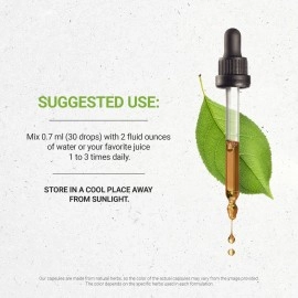 Secrets of the Tribe Red Sage Tincture Alcohol-Free Extract, Red Sage (Salvia Miltiorrhiza) Dried Root Tincture Supplement 4 OZ