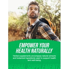 BULKSUPPLEMENTS.COM Ashwagandha Root Extract Powder - 600mg per Serving, 250 grams