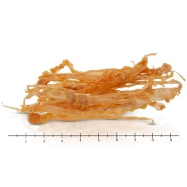 GoGo 3oz Turkey Tendon Strips Dog Chew Treats Sourced and Made in The USA one Ingredient - The Original Turkey Chew