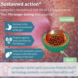 Igennus Longvida Lipidated Curcumin 500mg, Ultra Bioavailable & Sustained Action, 65x Higher Plasma Levels, Intensive Support, Free-Form Curcumin, Vegan, 30 Capsules,