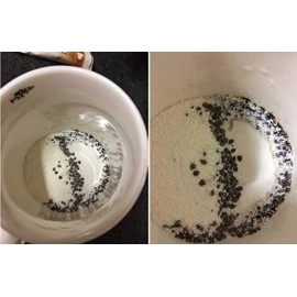 Kanu Maxim Latte 12g(58kcal) X 10pcs Instant Coffee