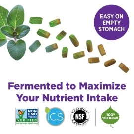 New Chapter Multivitamin for Men 50 Plus - Every Man\'s One Daily 55+ with Fermented Probiotics + Whole Foods + Astaxanthin + Organic Non-GMO Ingredients -24ct (Packaging May Vary)